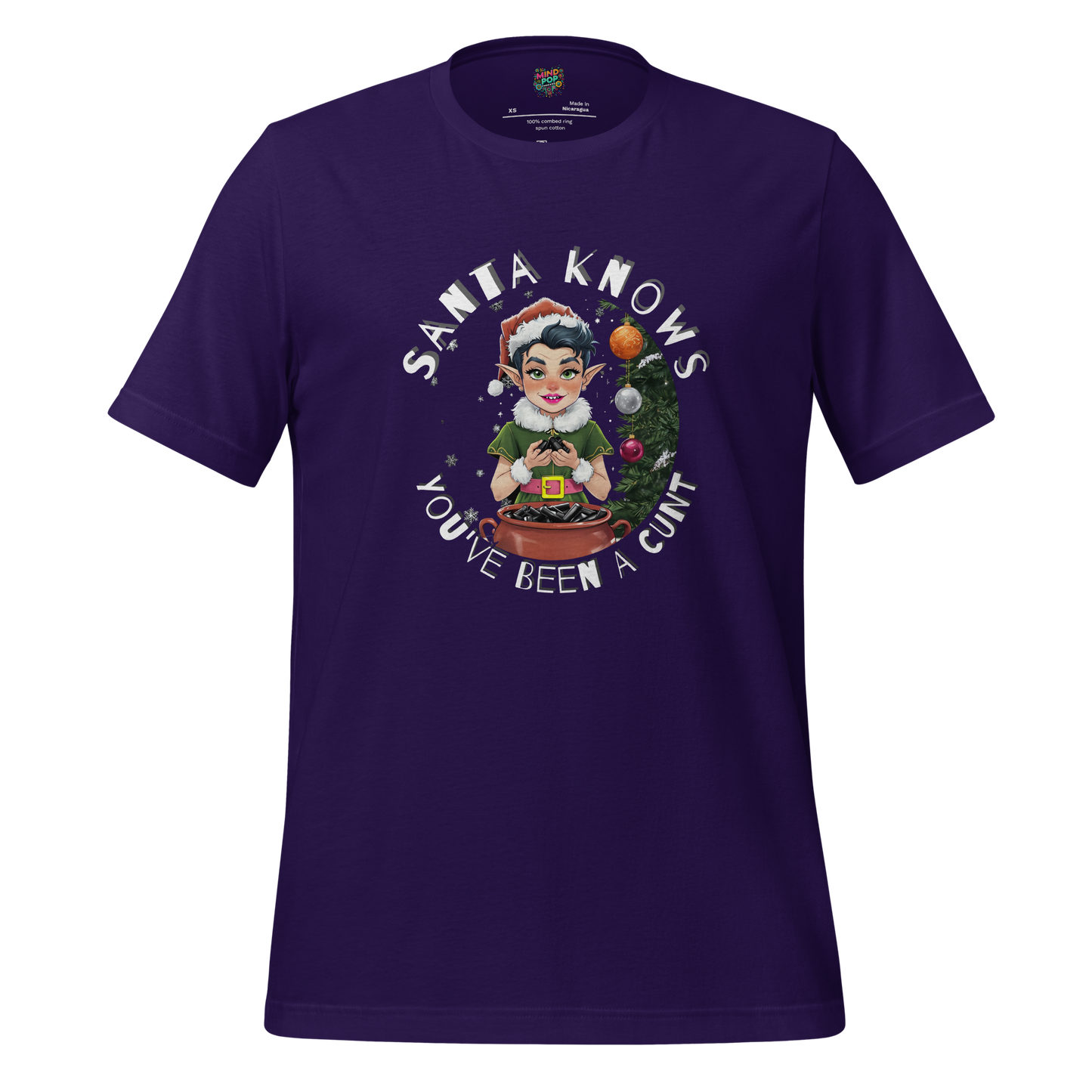 Smirking elf holding a lump of coal with text “Santa Knows… You’ve Been a Cunt” — brutally honest holiday shirt with savage Christmas humor