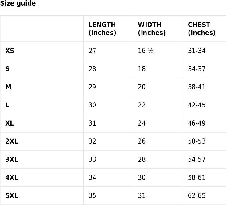 This Is Your Brain on Perimenopause Shirt – Hormonal Chaos Humor Tee, Midlife Mood Swing Masterpiece,