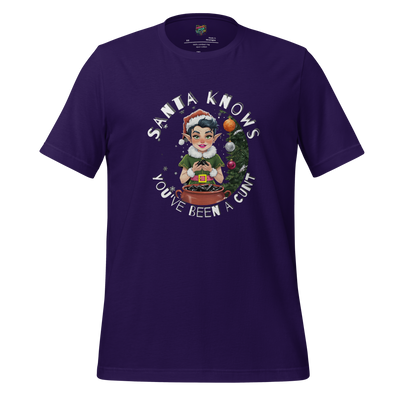 Smirking elf holding a lump of coal with text “Santa Knows… You’ve Been a Cunt” — brutally honest holiday shirt with savage Christmas humor
