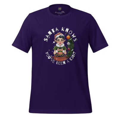 Christmas t-shirt with retro elf graphic and the text ‘Santa Knows You’ve Been a Cunt’